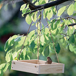 Tray Bird Feeder