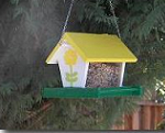 How to Build a Bird Feeder