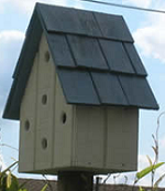How to Build a Wood Bird House