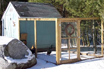 Chicken Coop Plans