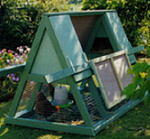 Chicken Coop