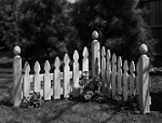 Corner Picket Fence