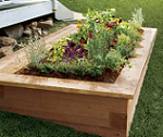 How to Build A Raised Planting Bed
