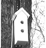 Bird House