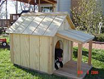 How to Build a Dog House