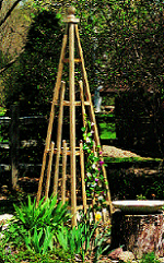 Pyramid Trellis Takes Gardening to New Heights