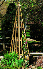 how to guides and plans to build a trellis