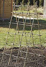 Building a Bamboo Trellis— Video