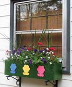 Window Box